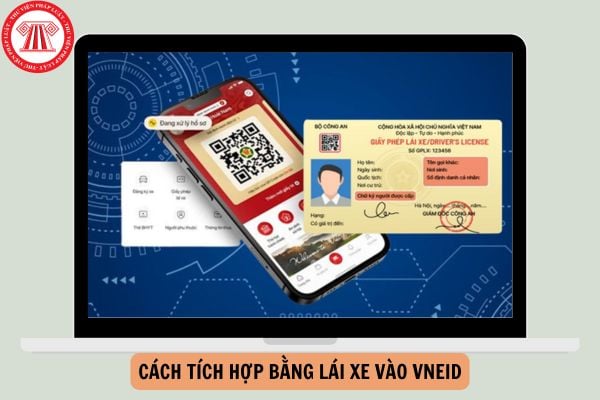 Hướng dẫn cách tích hợp bằng lái xe vào VNeID mới nhất năm 2025 (Phiên bản 2.1.14)?