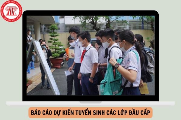 Báo cáo dự kiến tuyển sinh các lớp đầu cấp thành phố Hồ Chí Minh năm 2025-2026?