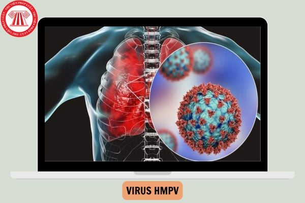 Virus HMPV là gì? HMPV có thể gây nhiễm trùng hô hấp trên và hô hấp dưới ở mọi lứa tuổi đúng không?