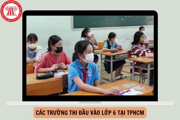 Danh sách các trường thi đầu vào lớp 6 tại TPHCM năm 2025-2026?