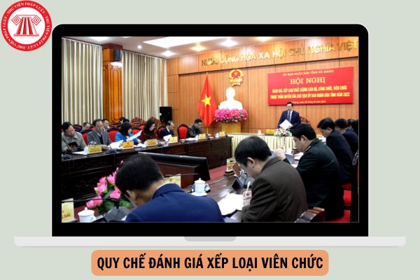 Quy chế đánh giá xếp loại viên chức theo Nghị định 90 mới nhất?