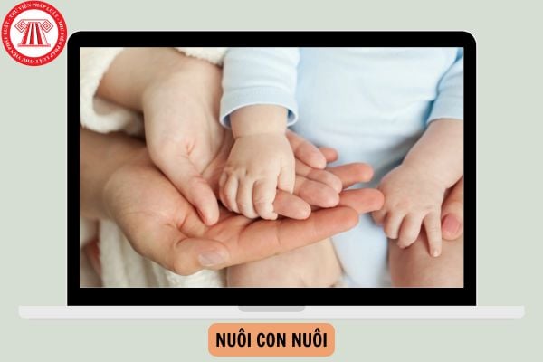 Toàn văn Nghị định 06/2025/NĐ-CP sửa đổi quy định về nuôi con nuôi?