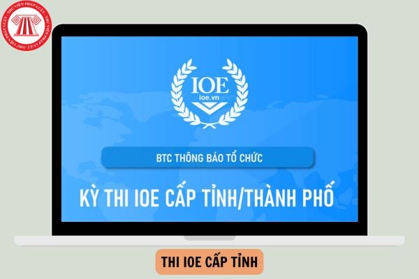 Thi IOE cấp tỉnh có bao nhiêu câu? Cách xem kết quả thi IOE cấp tỉnh chính thức?