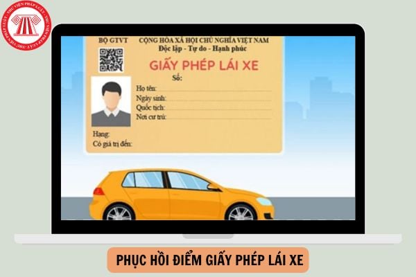 Các bước phục hồi điểm giấy phép lái xe khi bị trừ hết 12 điểm?