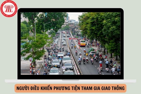 Người điều khiển phương tiện tham gia giao thông gồm những thành phần nào năm 2025?