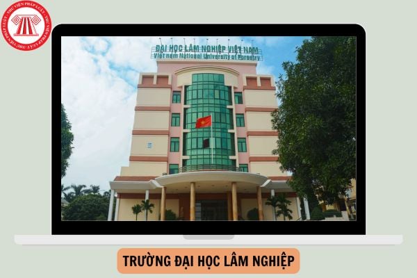 Thông tin Đại học Trường Lâm nghiệp tuyển sinh 2025 mới nhất?