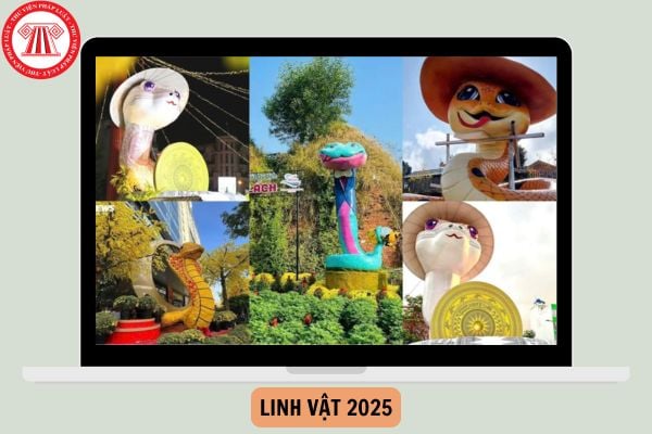 Tổng hợp Linh vật 2025 của 63 tỉnh thành? Biểu tượng linh vật Xuân Ất Tỵ năm 2025 tỉnh Bình Định ở đâu?