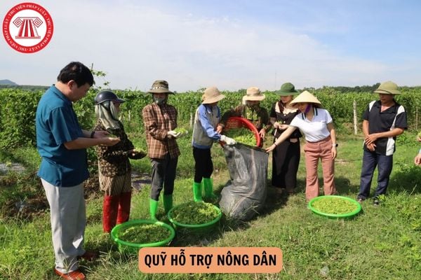 Chi cho cán bộ và người lao động của Quỹ hỗ trợ nông dân gồm những khoản nào theo Thông tư 92?