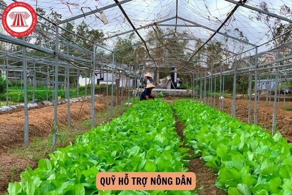 Quỹ hỗ trợ nông dân được xếp loại A khi nào? Chi phí được ghi nhận vào chi phí hoạt động của Quỹ phải tuân thủ nguyên tắc gì?