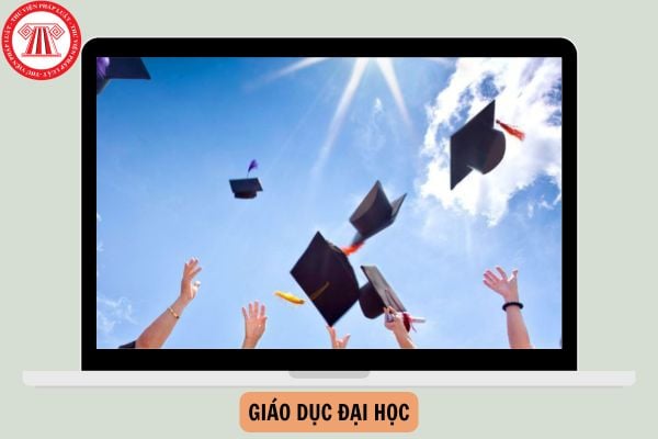 Giáo dục đại học bao gồm các trình độ đào tạo nào?