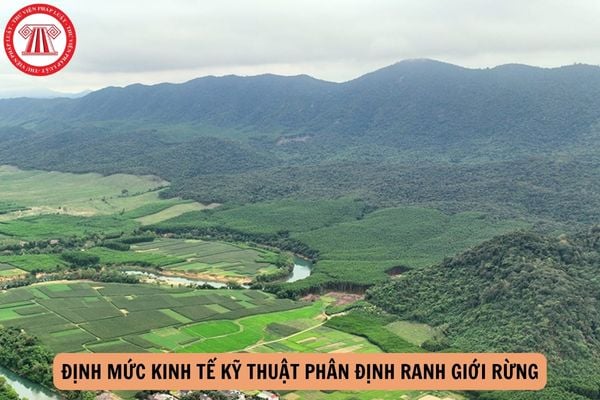 Định mức kinh tế kỹ thuật phân định ranh giới rừng là gì? 03 Nguyên tắc áp dụng định mức kinh tế kỹ thuật phân định ranh giới rừng?