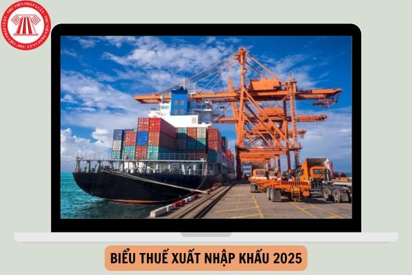 Biểu thuế xuất nhập khẩu 2025 File excel cập nhật mới nhất?