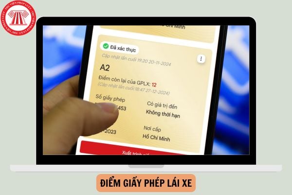 Xem điểm giấy phép lái xe ở đâu? Có bị trừ điểm giấy phép lái xe khi đang bị tước giấy lái xe không?