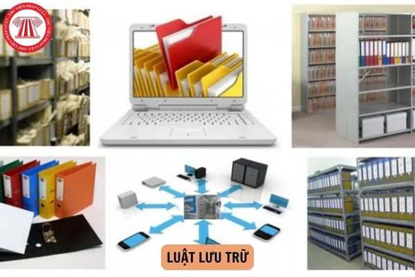 Hỏi đáp Pháp luật