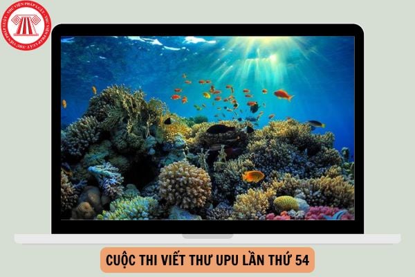 06 điều cần lưu ý về cuộc thi viết thư UPU lần thứ 54?