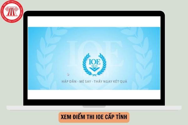 Hướng dẫn 03 cách xem điểm thi IOE cấp tỉnh 2025 chi tiết?