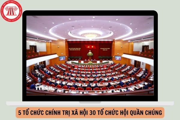 Hỏi đáp Pháp luật