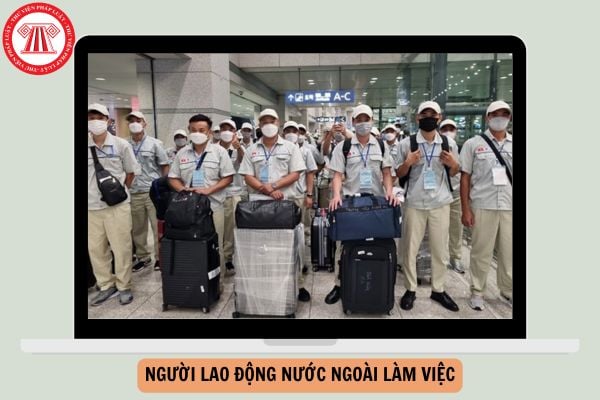 Hỏi đáp Pháp luật