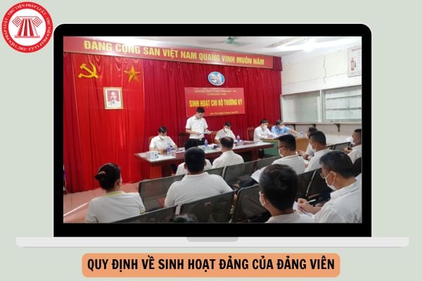 Hỏi đáp Pháp luật