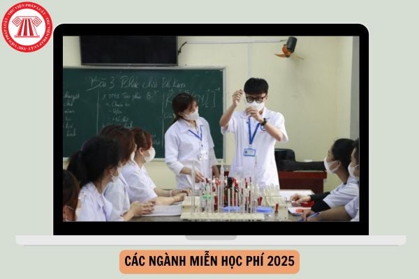 Hỏi đáp Pháp luật