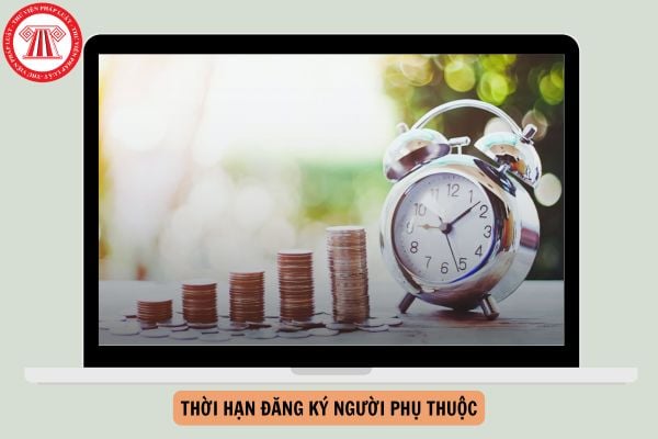 Hỏi đáp Pháp luật