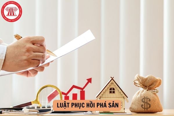 Toàn văn Luật số 142/2025/QH15 Luật Phục hồi phá sản chi tiết ra sao?