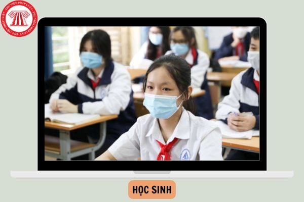 Năm 2025, học sinh lớp 1, 2, 3, 4, 5, 6, 7, 8, 9, 10, 11, 12 sinh năm bao nhiêu?