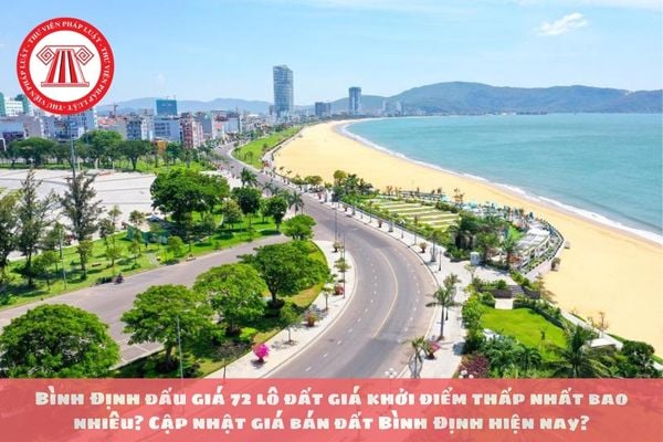 Bình Định đấu giá 72 lô đất giá khởi điểm thấp nhất bao nhiêu? Cập nhật giá bán đất Bình Định hiện nay?