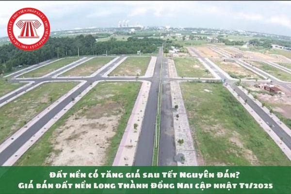 Đất nền có tăng giá sau Tết Nguyên Đán? Giá bán đất nền Long Thành Đồng Nai cập nhật T1/2025