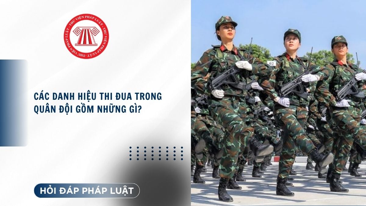 Hỏi đáp Pháp luật