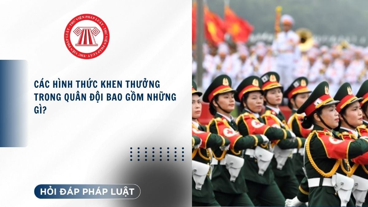 Hỏi đáp Pháp luật