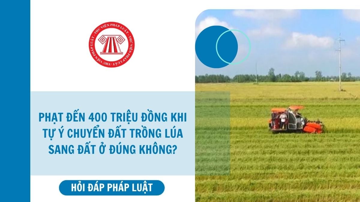Hỏi đáp Pháp luật