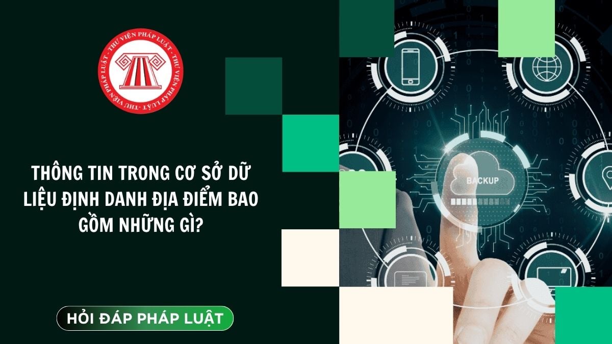 Hỏi đáp Pháp luật