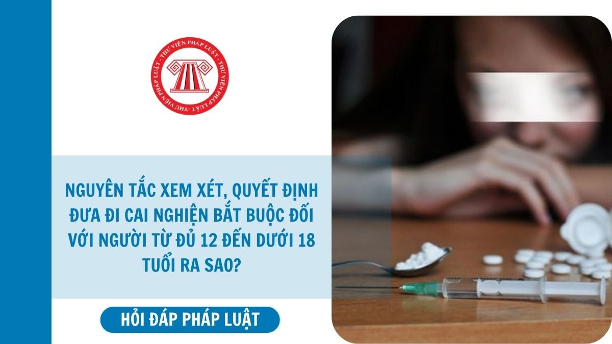 Hỏi đáp Pháp luật
