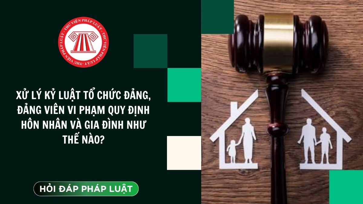 Hỏi đáp Pháp luật