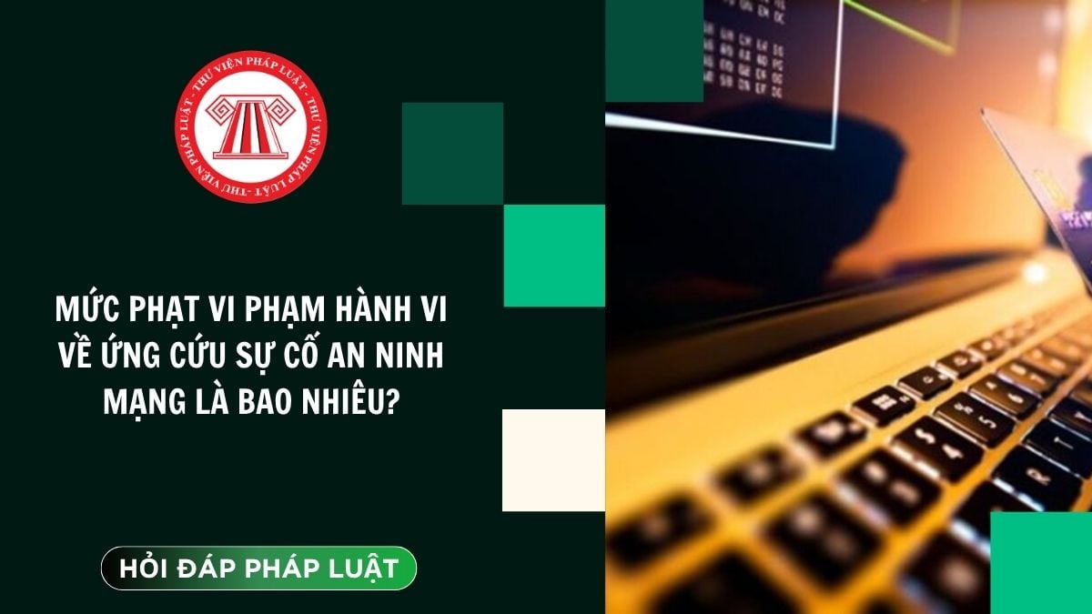 Hỏi đáp Pháp luật
