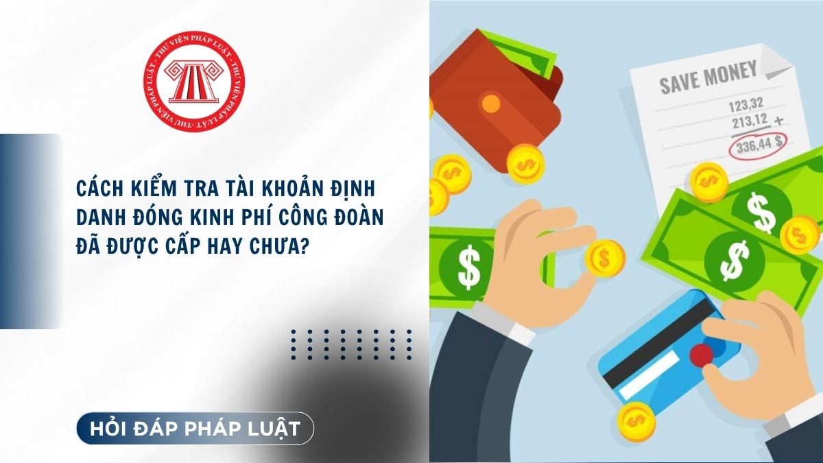 Hỏi đáp Pháp luật