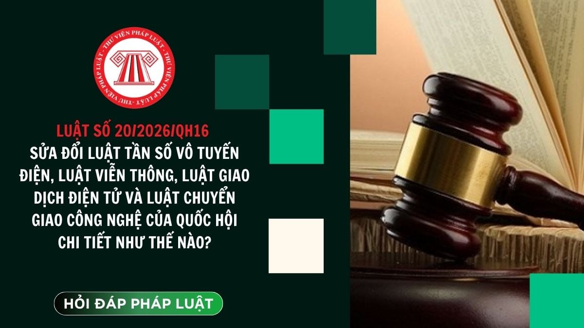 Hỏi đáp Pháp luật