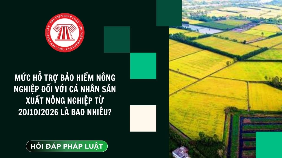 Hỏi đáp Pháp luật