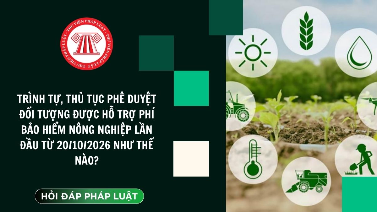 Hỏi đáp Pháp luật