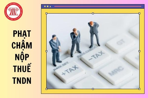 Hỏi đáp Pháp luật