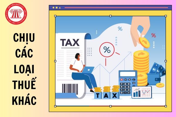 Cá nhân, hộ kinh doanh hoạt động thuộc diện chịu các loại thuế khác ghi sổ kế toán nào theo Thông tư 152?