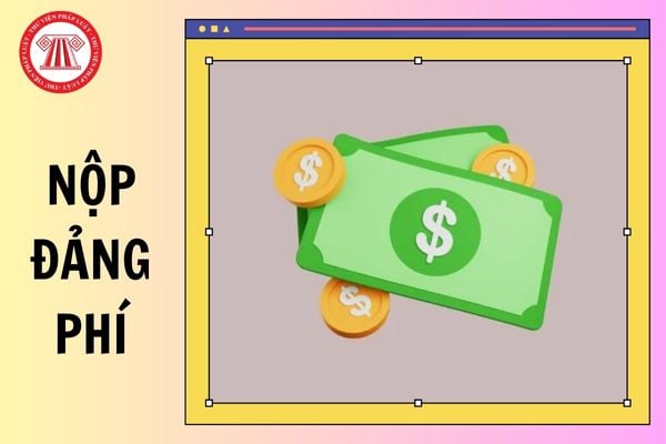 Hướng dẫn thu nộp đảng phí trên Cổng Dịch vụ công Quốc gia năm 2026 mới nhất như thế nào?