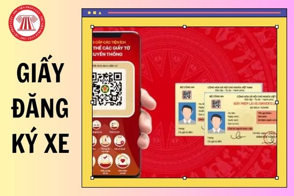 Hỏi đáp Pháp luật