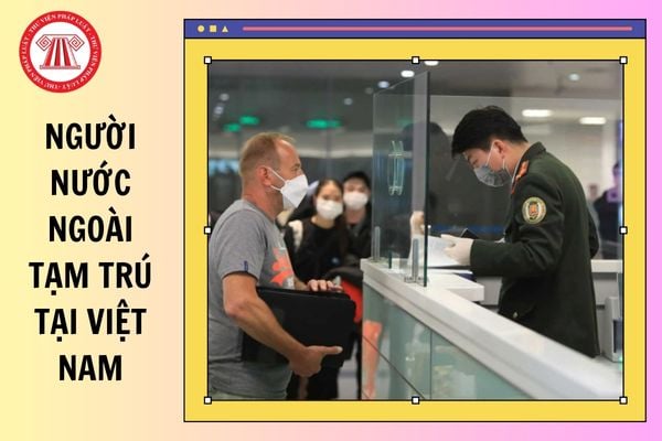 Hỏi đáp Pháp luật