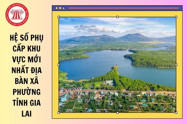 Hỏi đáp Pháp luật