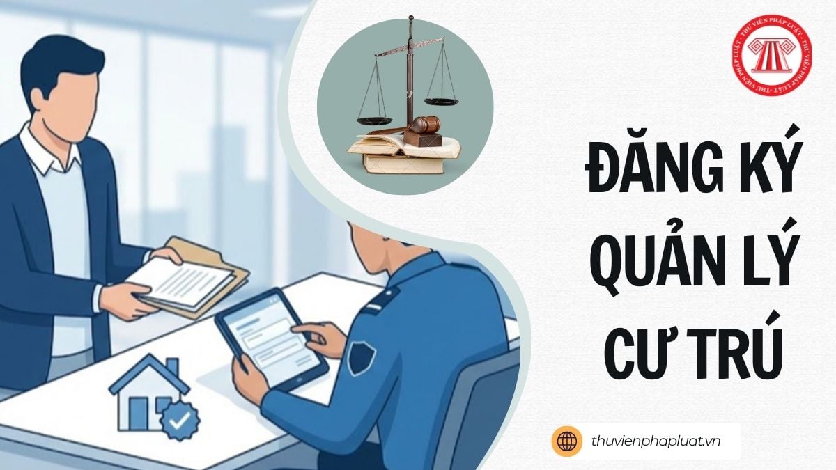 Hỏi đáp Pháp luật