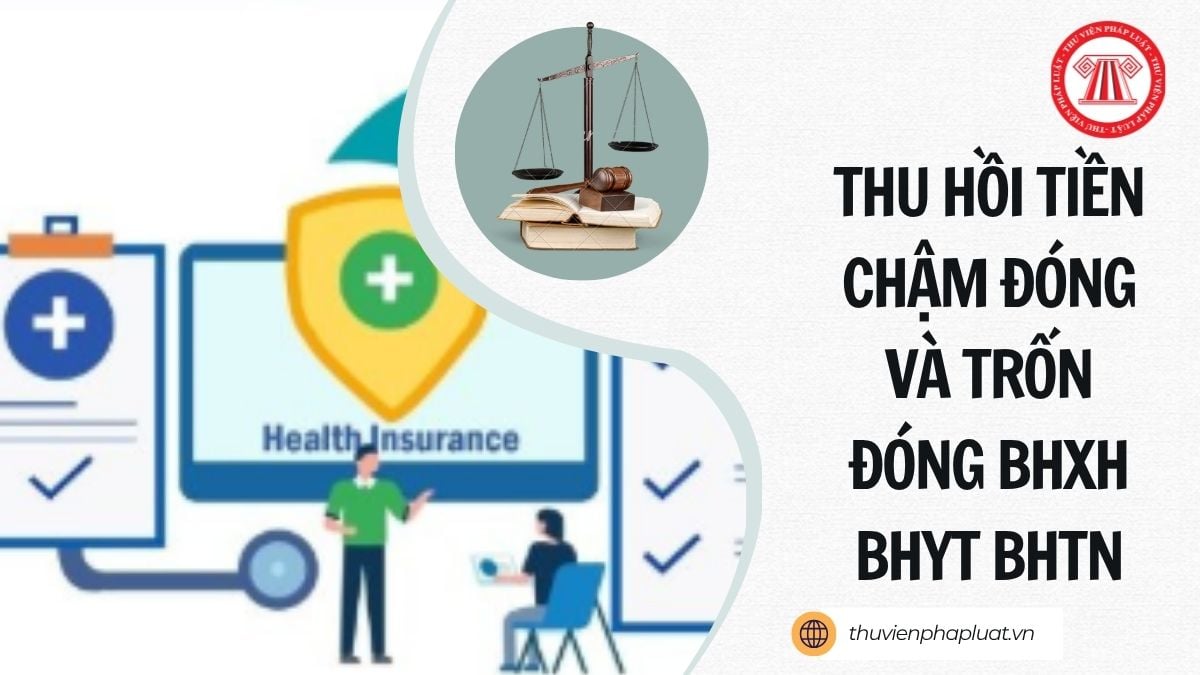 Hỏi đáp Pháp luật