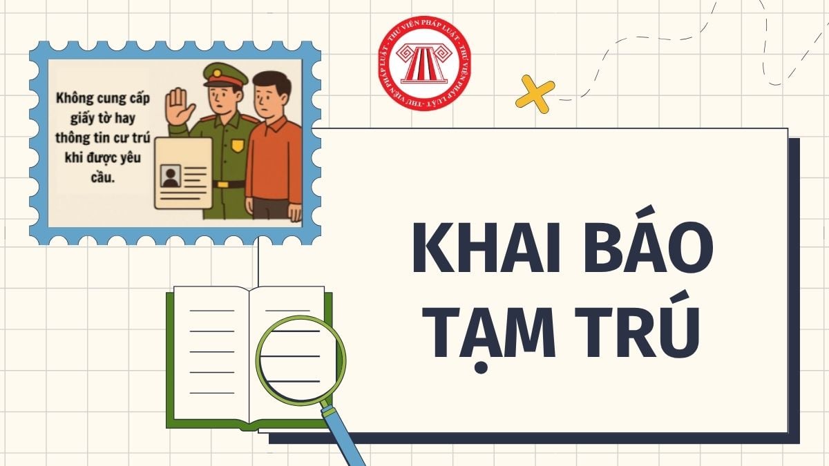 Hỏi đáp Pháp luật