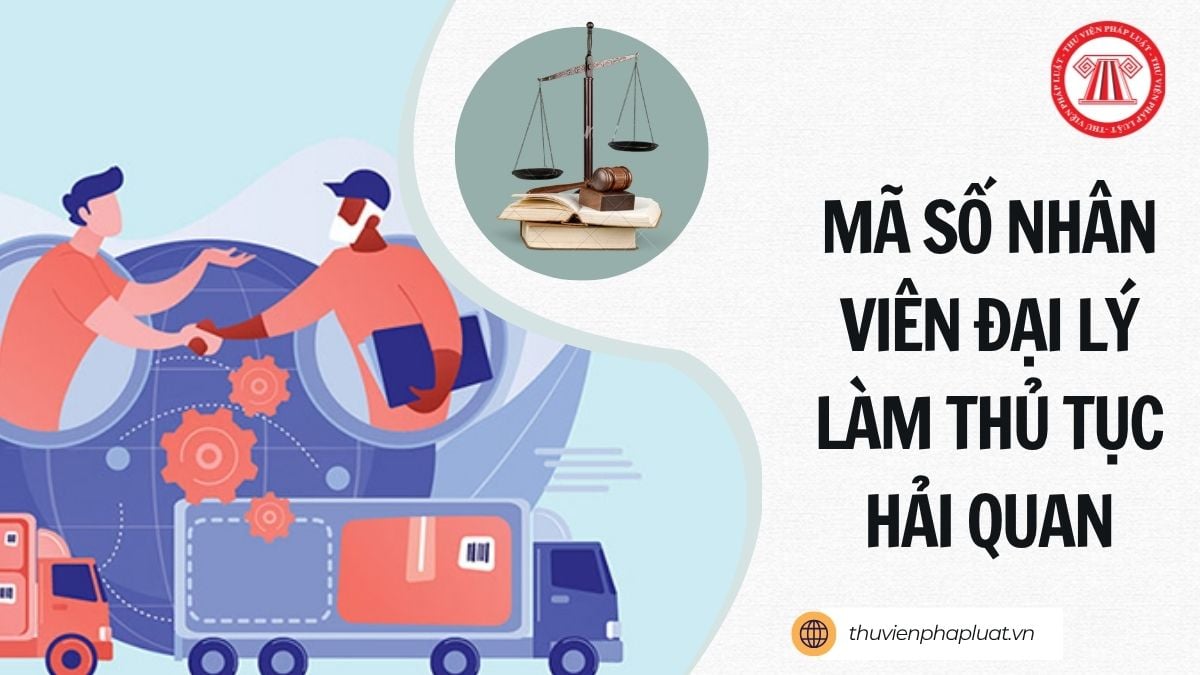 Hỏi đáp Pháp luật